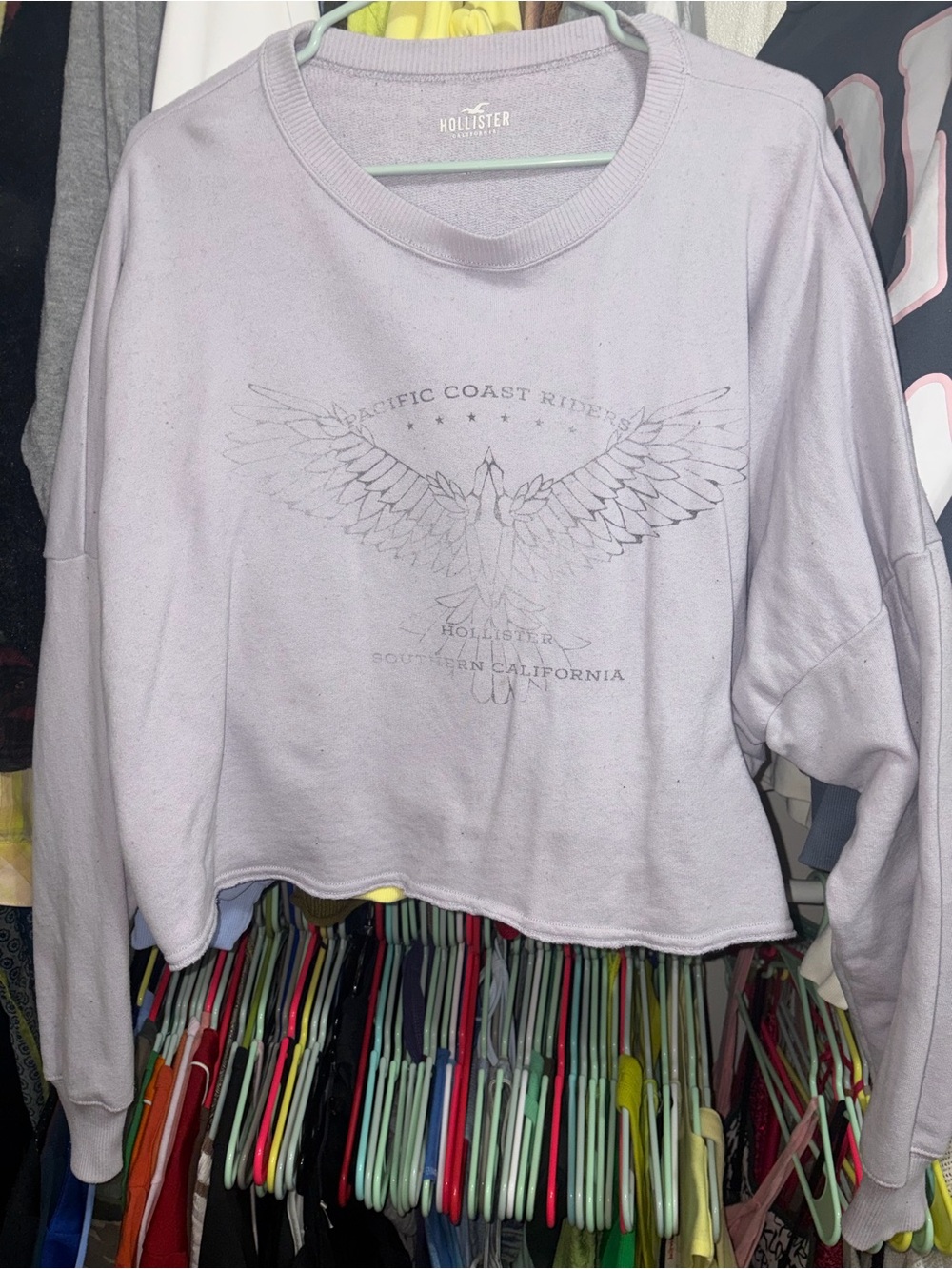 Hollister Light Lavender Graphic Cropped Sweatshirt